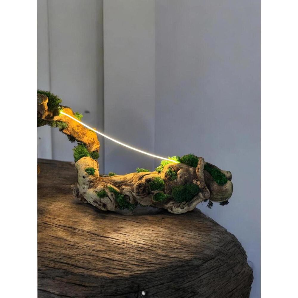 Driftwood, Original Grapevine Sculpture Lamp Preserved Moss